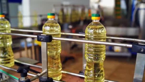 Wnętrze Nowoczesnej Fabryki Olejów Naturalnych Butelkowanie Oleju Słonecznikowego Plastikowym Pojemniku — Wideo stockowe
