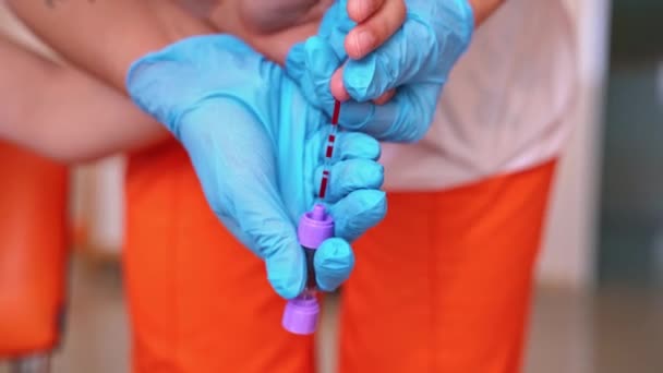Läkarundersökning Patientblod Närbild Händer Läkare Testa Sina Patienter Blod Sjukhuset — Stockvideo