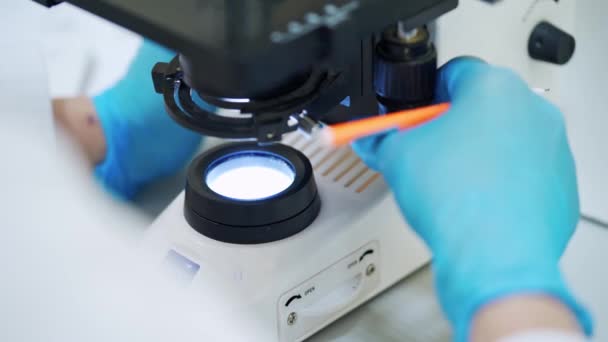 Chemicus Onderzoekt Bloed Met Microscoop Close Shot Van Wetenschappelijk Laboratorium — Stockvideo