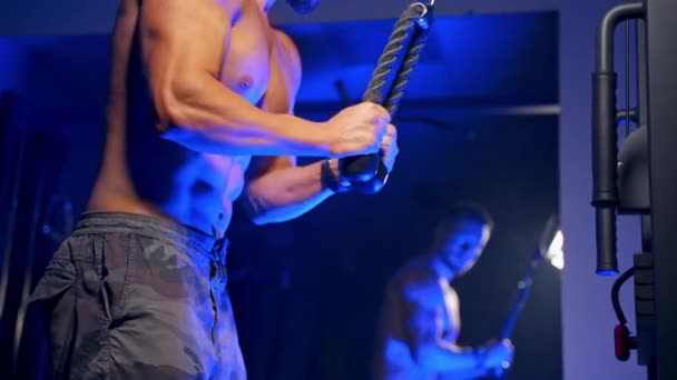 Bodybuilder Fitnessstudio Beim Händeaufpumpen Muskelprotz Trainiert Fitnessstudio Macht Übungen Trizeps — Stockvideo