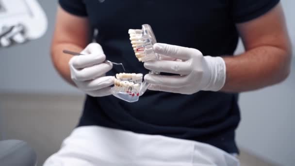 牙科医生保持牙齿模型 在牙科诊所向病人展示牙齿模型的男牙医 — 图库视频影像
