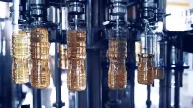 Rafine ayçiçeği yağı üretim hattı. Fabrika üretim hattı ve rafine yağ dolumu ayçiçeği tohumlarından