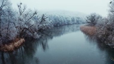 Kışın orman nehrinin havadan görünüşü. Soğuk kış gününde orman nehrinin havadan görünüşü