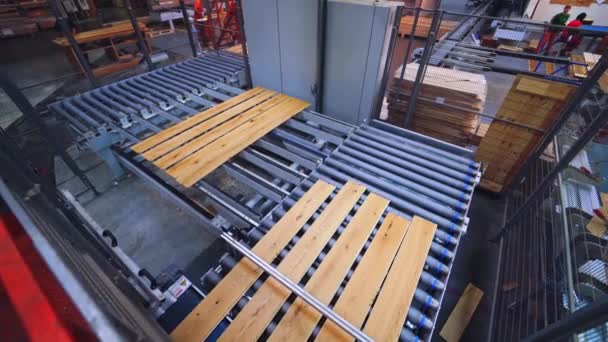 Továrna Výrobu Dřevěné Podlahy Profesionálně Dřevěná Podlaha Procesu Výroby Dílně — Stock video