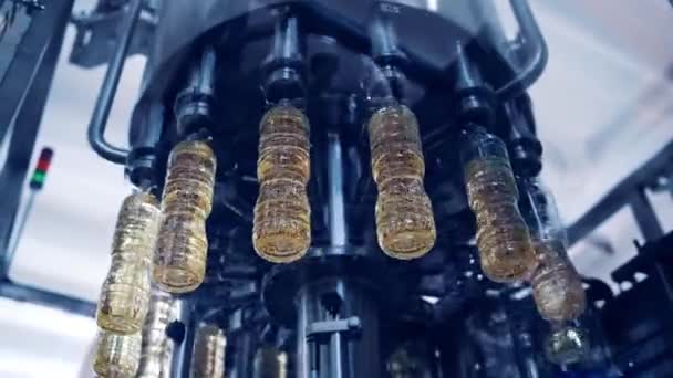 Fabrik Für Die Produktion Von Ölen Sonnenblumenöl Der Flasche Bewegung — Stockvideo