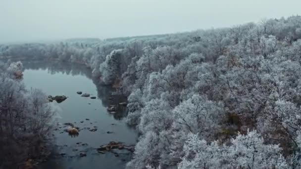 Volando Sobre Bosque Invierno Vista Aérea Drones Árboles Altos Nevados — Vídeos de Stock