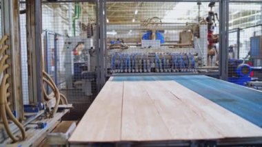 Modern ahşap endüstrisi. Ahşap kaplama üreten bir fabrikada çalışan robot makine. Parke panelleri olan üretim hattı.