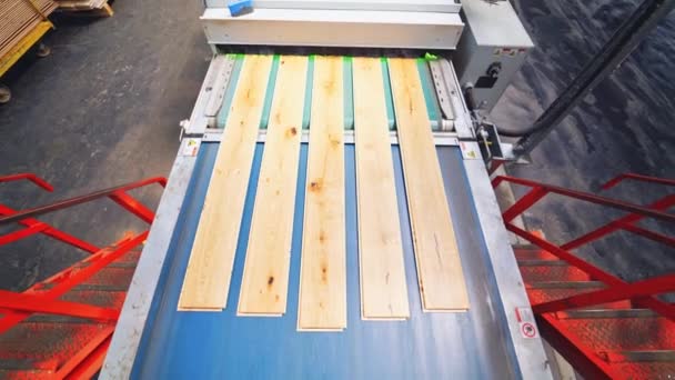 层压板生产的内部 木制板在木制板厂内输送线上移动的俯视图 — 图库视频影像