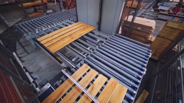 Dřevěné Továrně Výrobní Linka Laminovanými Panely Dělníci Továrně Parkety Koncept — Stock video