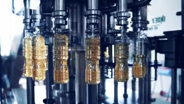 Автоматизоване Виробництво Нафти Заводі Порожні Пляшки Наповнюються Золотою Рідиною Сучасному — стокове відео
