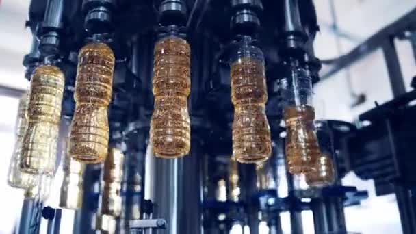 Yenilebilir Petrol Fabrikasında Robotik Ekipman Modern Endüstriyel Ekipmanlar Şişelere Ayçiçeği — Stok video
