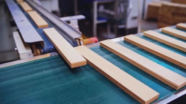 木製のボードはコンベヤー ラインで動きます パーケットフロア生産のための製造 家具の生産のための現代産業研修会 — ストック動画