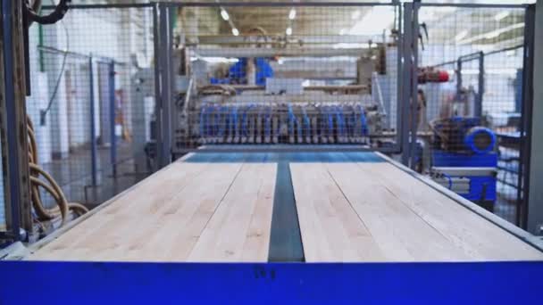 Przemysłowa Fabryka Produkcji Parkietów Wnętrze Laminatu Produkcja Mebli Drewnianych Pomieszczeniach — Wideo stockowe