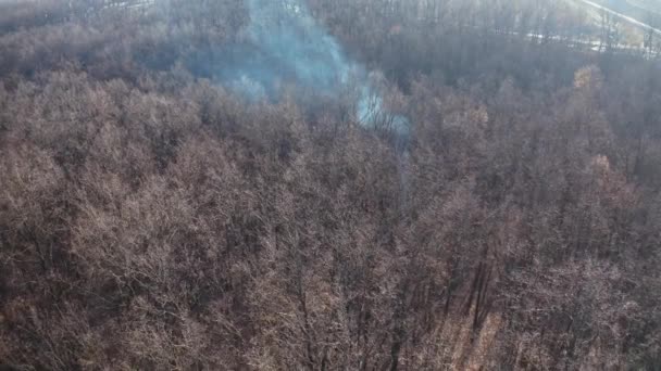 冬の森の空からの眺め 森に登る火災から木々と白い煙の上を飛ぶ — ストック動画