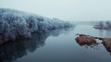 Doğanın güzel kış manzarası. İnsansız hava aracı kış mevsiminde sakin nehir manzarası. Suya yakın ormanın beyaz karlı ağaçları.