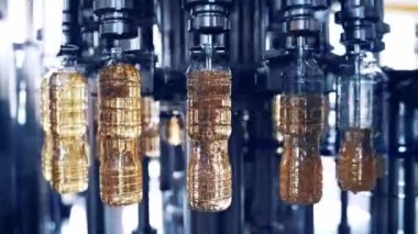 Plastik şişelere zeytin yağı dökülüyor. Fabrikada ayçiçeği yağı üretimi. Şişelerde yağ pişiriyor, taşıyıcıda hareket ediyor..