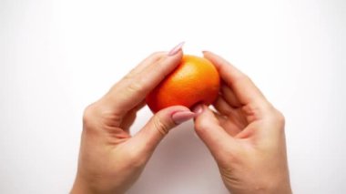 Kadın masada mandalina temizliyor. Dişi ellerinin üst görüntüsü tatlı narenciye içeriyor. Eller taze mandalina soyuyor. Yakın plan..