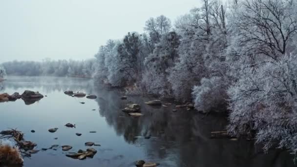 Río Poco Profundo Cerca Del Bosque Invernal Vista Aérea Drones — Vídeos de Stock