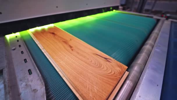 パーケット工場 現代工業プラント内部のコンベヤー ラインで動く木製の積層板 家具生産について — ストック動画
