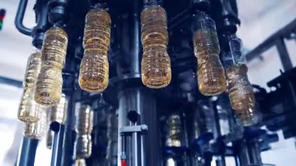 Kochölproduktion Plastikflaschen Mit Olivenöl Der Modernen Fabrik Automatisierte Maschine Bewegt — Stockvideo