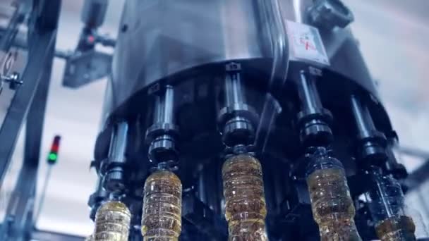 Moderne Ausrüstung Für Die Herstellung Von Speiseöl Automatisches Drehen Der — Stockvideo