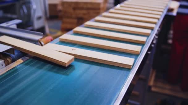コンベヤーラインで動く木製のボード パーケット生産の現代工場 家具の製造について — ストック動画