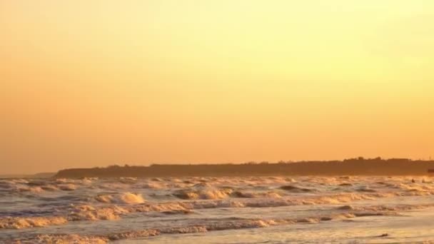 海の上のオレンジサンセット 泡立つ海の波は夕方に砂浜を洗っている シーガルズは彼の海岸線で食べ物を探しています — ストック動画
