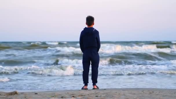 Έφηβος Που Κοιτάζει Θάλασσα Πλάτη Άποψη Ενός Παιδιού Ρούχα Στέκεται — Αρχείο Βίντεο