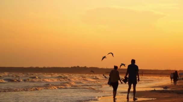Κυματιστή Θάλασσα Ηλιοβασίλεμα Άνθρωποι Περπατούν Κοντά Στη Θάλασσα Βράδυ Γλάροι — Αρχείο Βίντεο