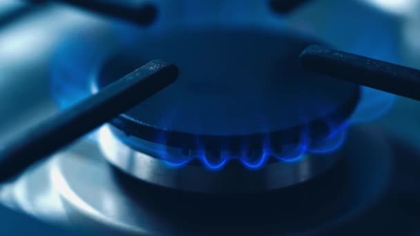 天然ガスキッチン調理器具が点灯し 最近使用されています ガソリンストーブの上の青と本当に熱い炎 自家製調理コンセプト 使用する準備ができたサークルガスホブ 天然ガスの炎症 閉じる — ストック動画