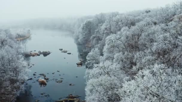 Forêt Blanche Enneigée Près Rivière Survoler Les Arbres Couverts Neige — Video