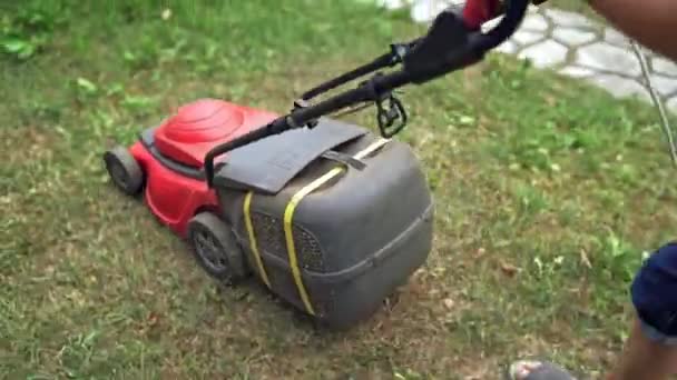 庭の赤い芝生の芝刈り機 男の子は屋外の電動芝刈り機で草を切っています — ストック動画