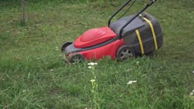 Yazın yeşil bir çayırda çim biçme makinesi çalışıyor.
