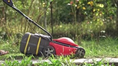 Bahçedeki kırmızı çim biçme makinesi. Çimleri biçmek.