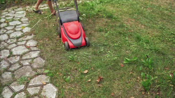 Lawn Mower Cutting Green Grass Young Boy Lawn Mower Working — Stock Video