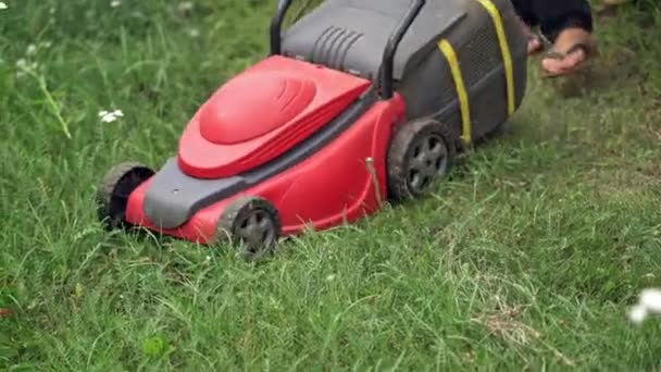 庭に赤い芝刈り機が置かれている モウィング — ストック動画