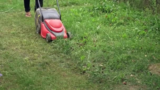 Woman Cuts Lawn Mowing Lawns Summer Seasonal Works Backyard — Stock Video