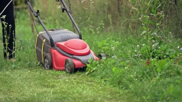 芝刈りのクローズ アップ 郊外の女性の刈る芝生 — ストック動画