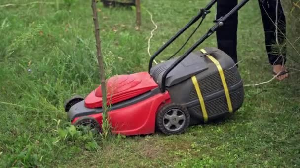 夏の緑の牧草地で働いている芝刈り機 — ストック動画