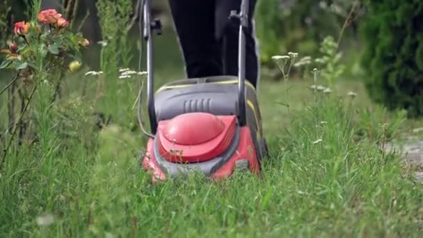 庭で草を刈っている女性は — ストック動画