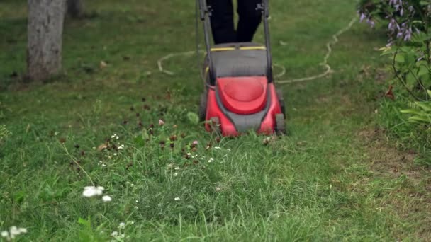 割草机在花园里割草 割草机在后院割草 电动割草机割草工人 — 图库视频影像
