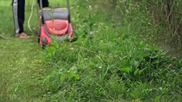 电动割草机割草 园艺师用特殊的绳索割草机割草 院子里割草的现代设备 — 图库视频影像