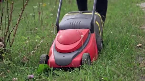 割草机割草 园艺活动 园丁在夏天与红色电动割草机一起工作 — 图库视频影像