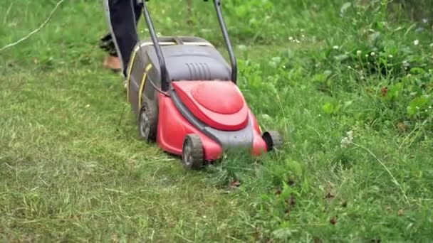 Process Cutting Grass Garden Homeowner Mowing Green Grass Backyard Special — Stock Video