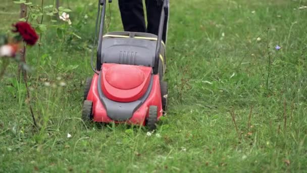 ガーデニング活動 庭の緑の草と芝刈り機を持つ労働者 草を刈るための電気機械 クローズアップ — ストック動画