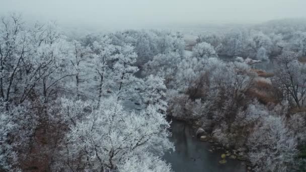 Natuur Winter Prachtig Uitzicht Vanuit Lucht Een Rivier Tussen Witte — Stockvideo