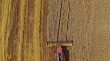 Geniş buğday tarlasında çalışan kombinasyonun hava görüntüsü. Hasat mevsimi