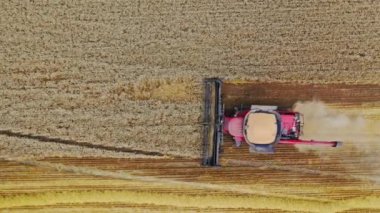 Geniş buğday tarlasında çalışan kombinasyonun hava görüntüsü. Tarlada çalışan hasat makinesi.