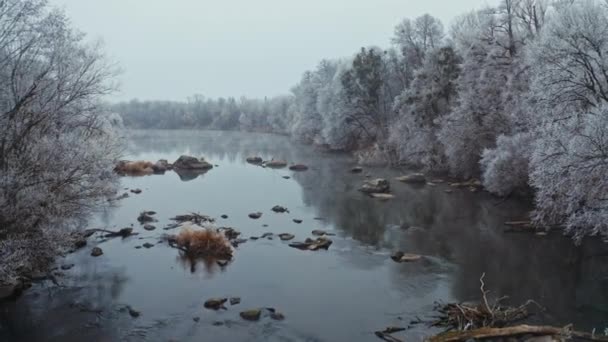 Schöner Fluss Der Wintersaison Flug Über Die Bäume Die Auf — Stockvideo