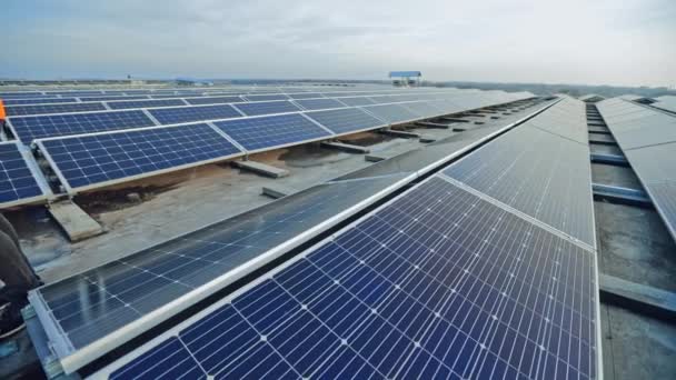 太陽光発電パネルを太陽光発電所に設置する 保護服を着ている労働者 クリーンエネルギーの持続可能かつ再生可能な供給源 — ストック動画